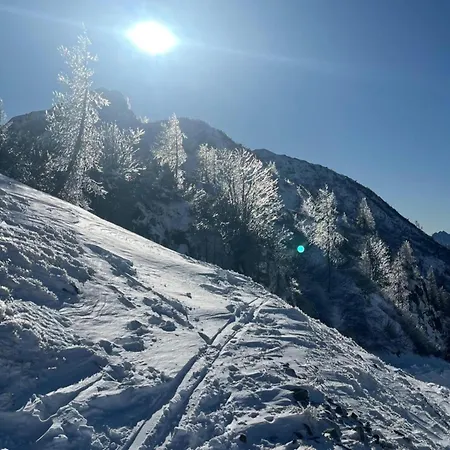 Ferienhaus Obermoeschach 10 *